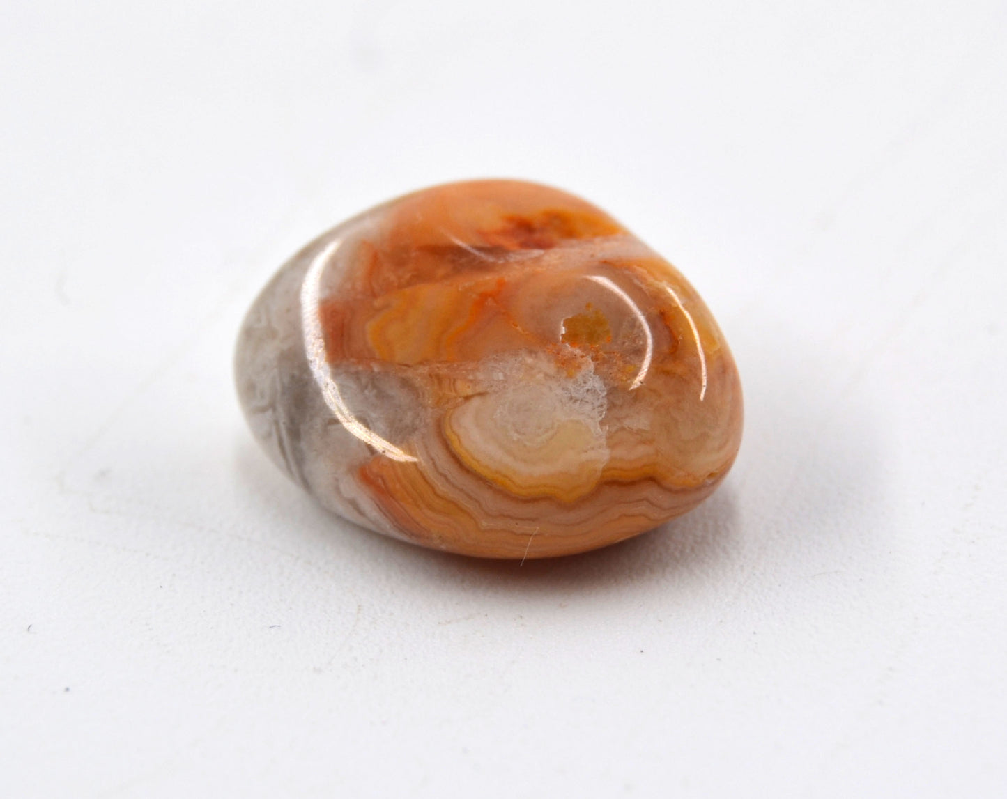 Ancient Echoes - Crazy Lace Agate