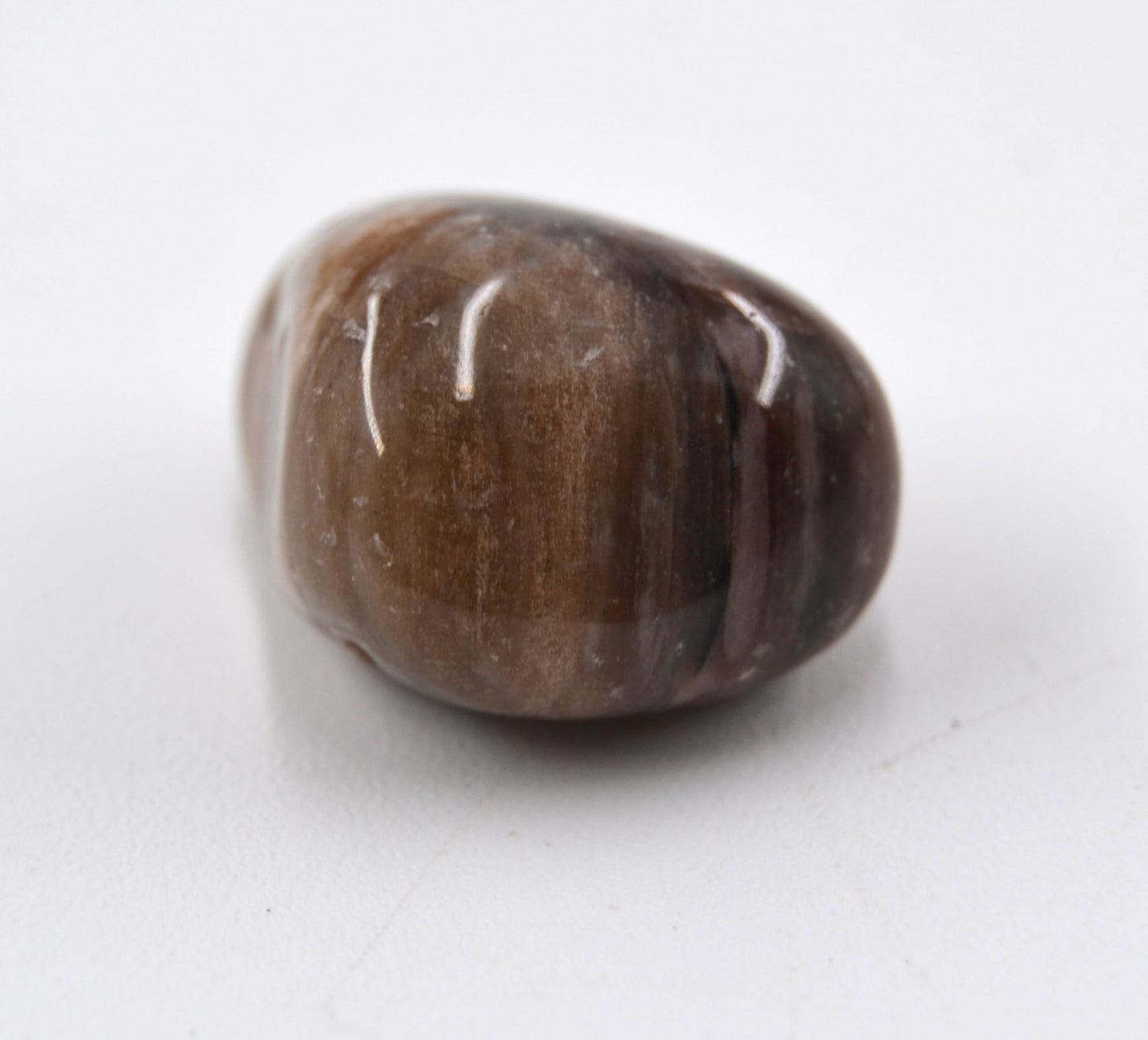 Ancient Echoes - Coffee Jasper