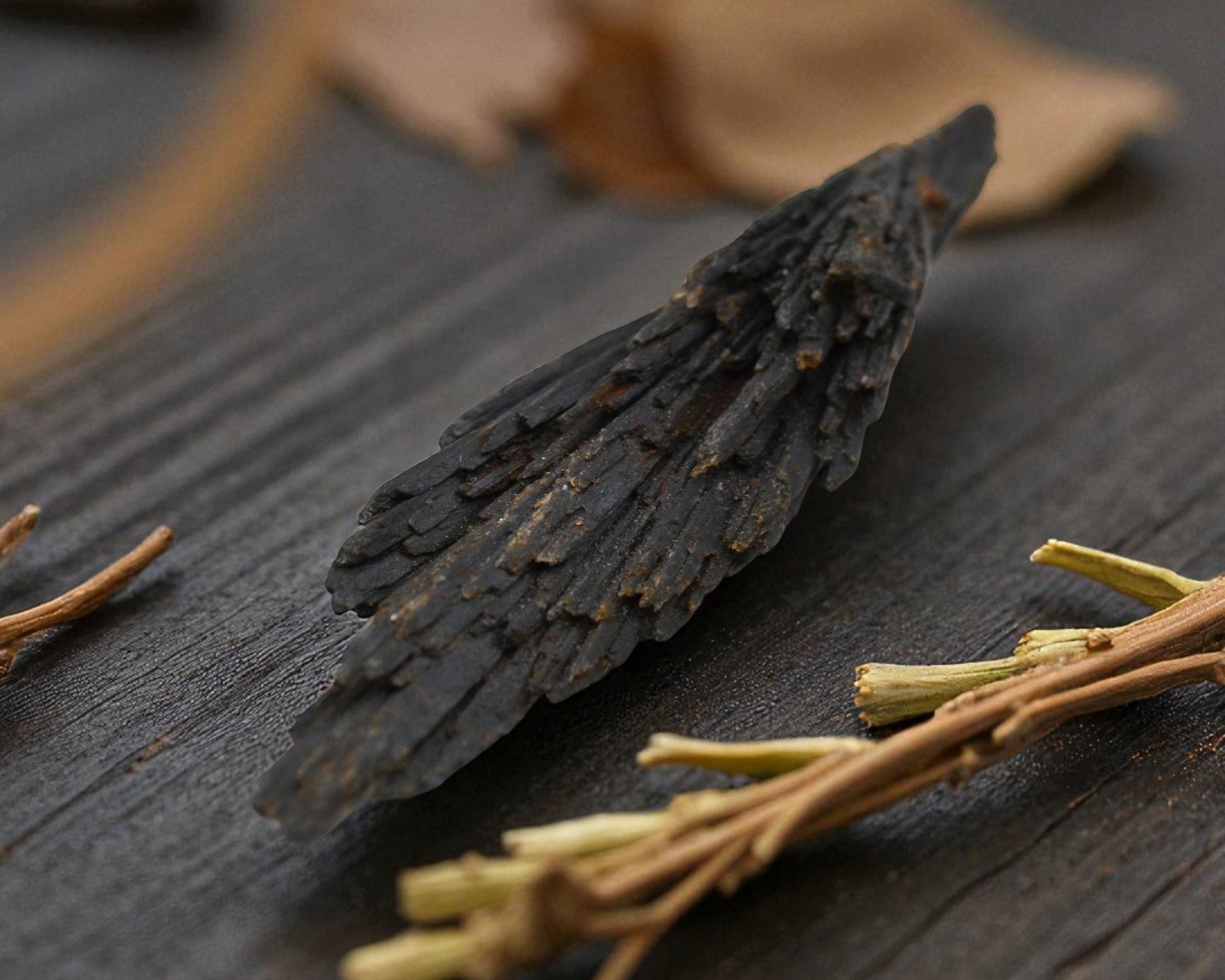 Black Natural Kyanite (B)