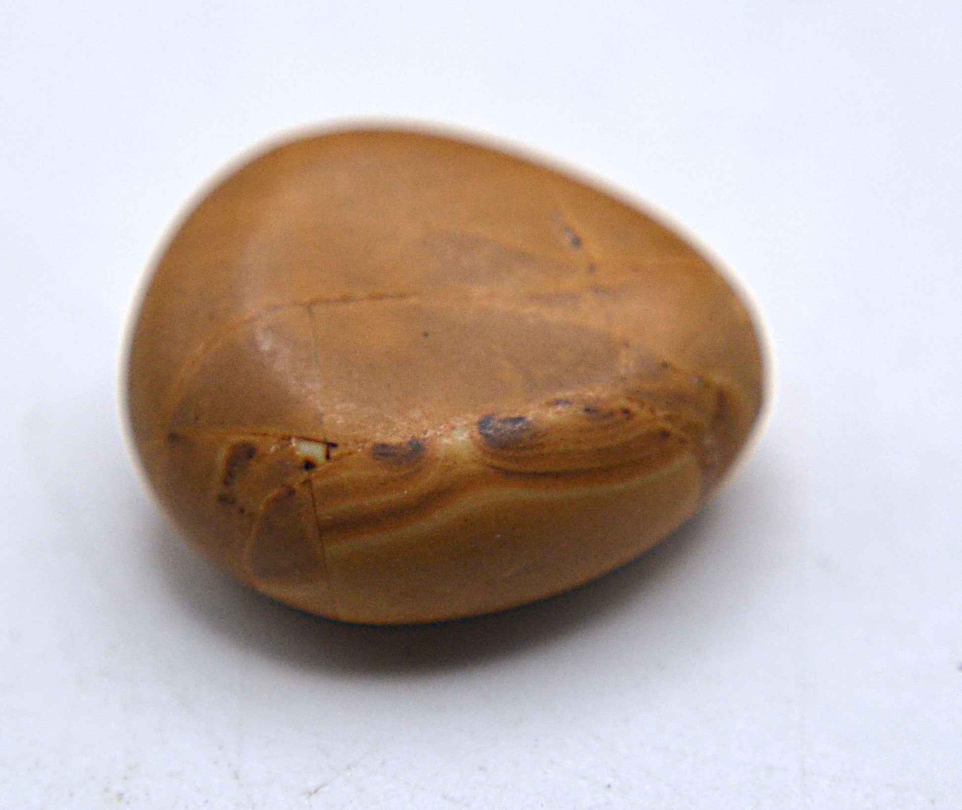 Blush & Bloom - Picture Jasper