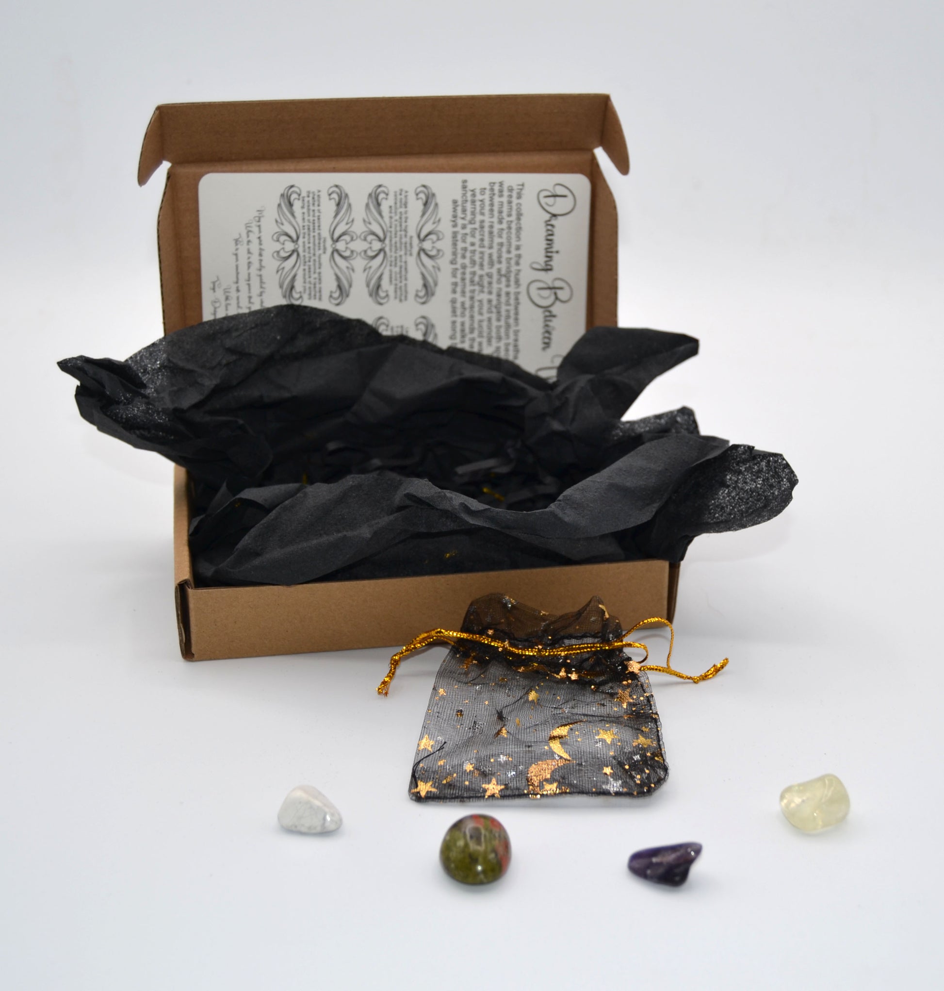 Dreaming Between Worlds