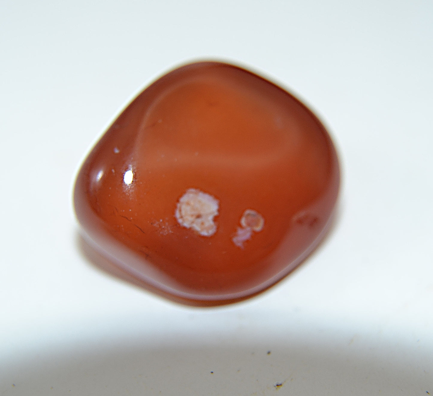 Firelight & Focus - Carnelian