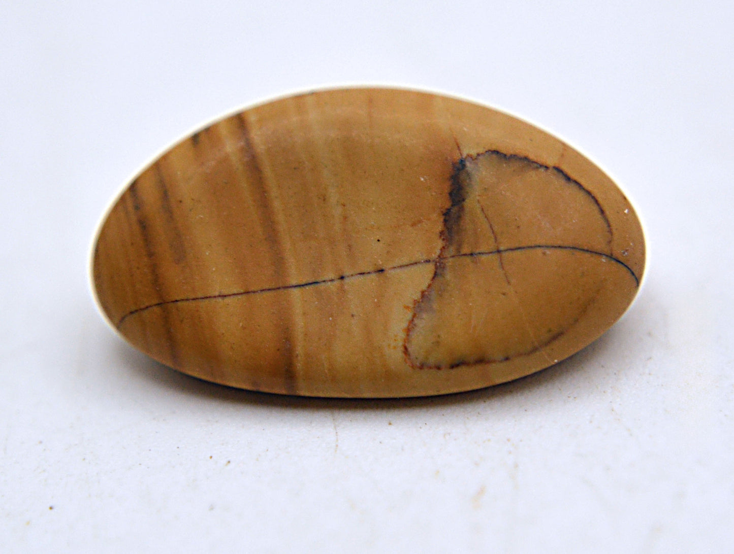 Grow With Grace - Picture Jasper