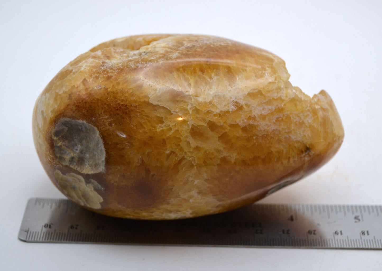 Honey-Colored Quartz Crystal Lined Egg