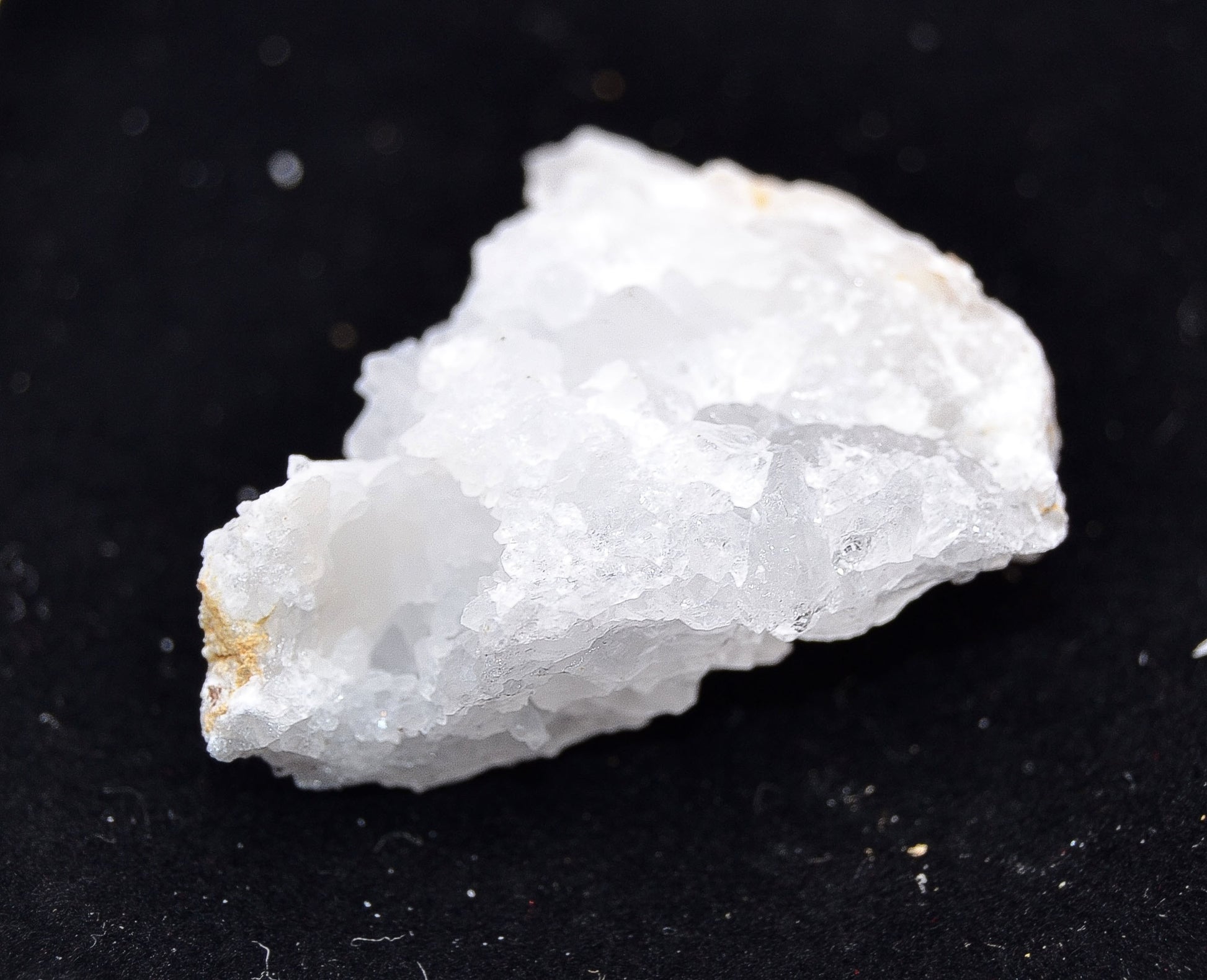 The Earth Scatters Her Secrets